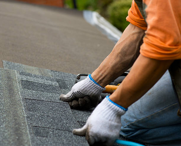 Best Gutter Installation and Roofing  in South Beach, FL